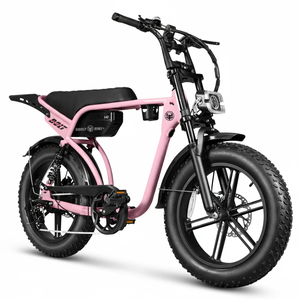 Electric Bikes